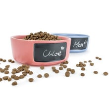Ringo Ceramic Dog Bowl